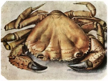 dürer Tableau Peinture - Homard Albrecht Dürer